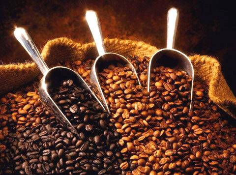 Coffee Export