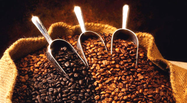 Coffee Export