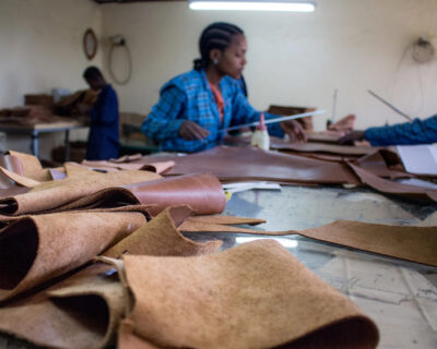 Prospects for Leather & Leather Products in Ethiopia