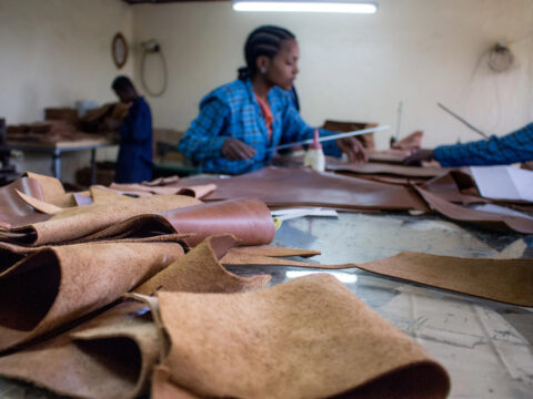 Prospects for Leather & Leather Products in Ethiopia