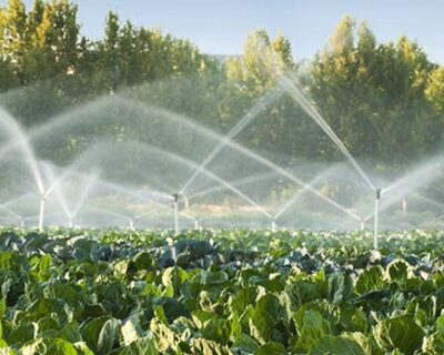 Modern Agriculture