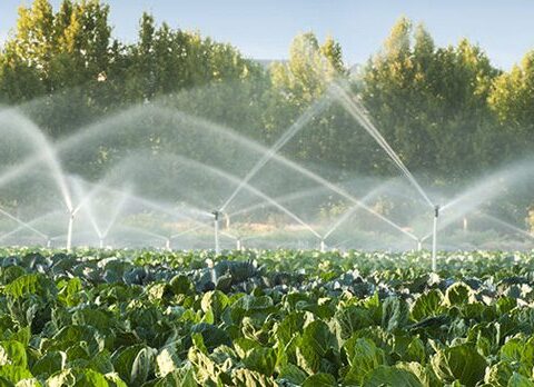 Modern Agriculture