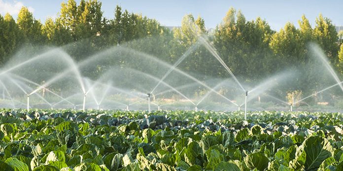 Modern Agriculture